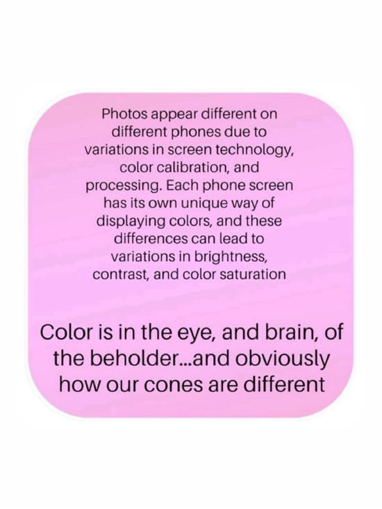 NWT Loft size 4 pink eyelet belted flutter sleeve dress - Picture 8 of 11